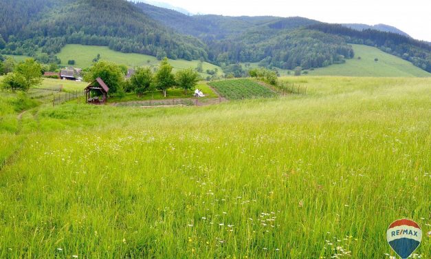 Na predaj, rekreačný pozemok 6344 m2, obec Zubák